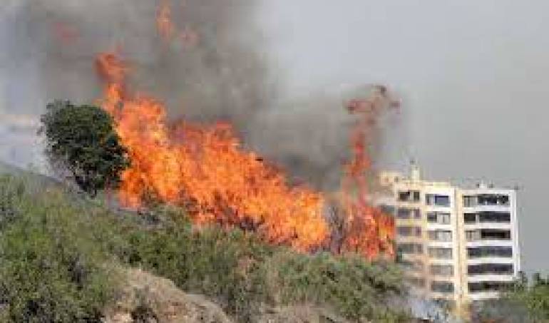 Conaf no descarta intencionalidad en incendio que afecta al jardín