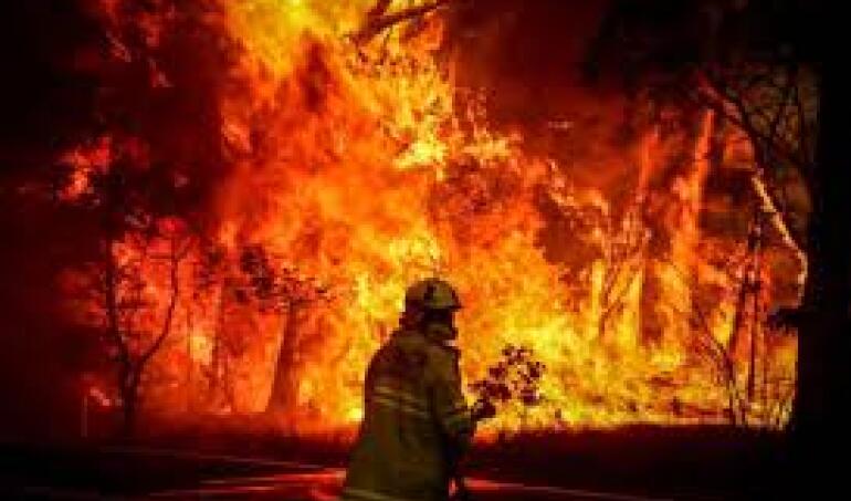 Raro: Renuncia director de Senapred de La Araucanía en medio de los graves y gigantescos incendios en la zona