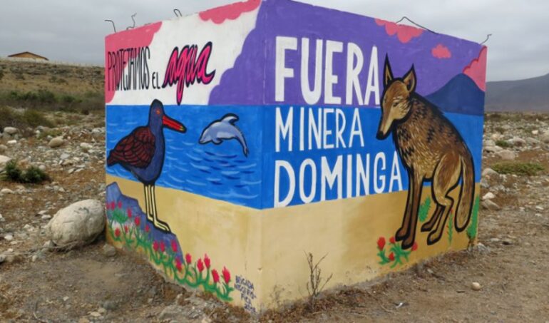 Tribunal Constitucional rechaza la contienda de competencia presentada por Ministros contra el Primer Tribunal Ambiental por Dominga