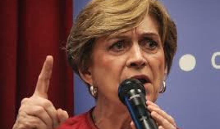 En medio de baja en las encuestas, Matthei (UDI) fue al Consejo de RN, les habló duro y se 