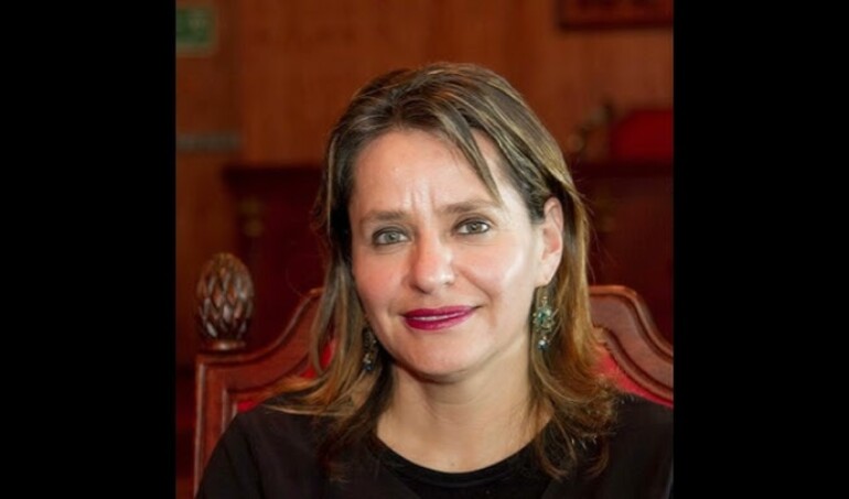 La reconocida abogada y académica Paulina Astroza permanece en la UCI tras grave atropello en el centro de Concepción