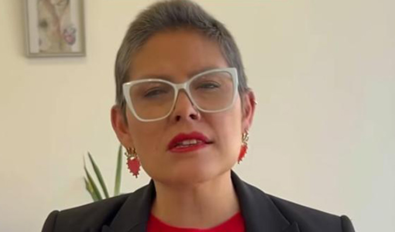 Ministro del Interior dice que el gobierno pausará despido de directora de SernamEG por ingreso de licencia. Está en tratamiento por un cáncer