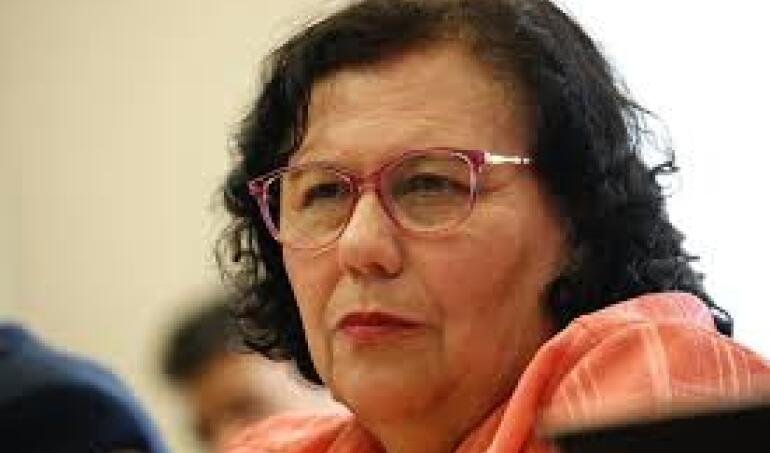 Diputada Lorena Pizarro sufre violento portonazo frente a su casa en Macul. Dos sujetos fueron detenidos